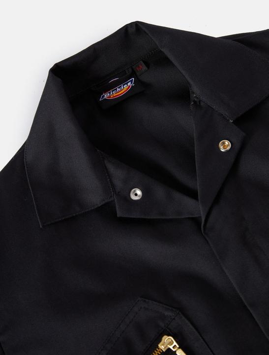 Actual product image Dickies Everyday (L)