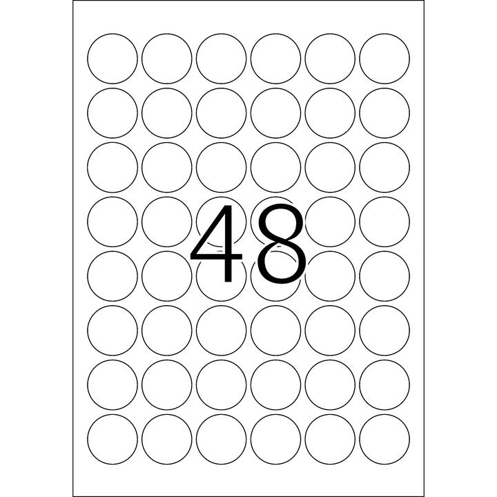 Actual product image HERMA Weatherproof labels A4 removable