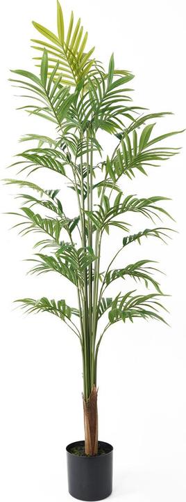 Actual product image present time Kunstplant Gold Palm Tree Large - Groen - 65x65x160cm - Modern (160 cm)