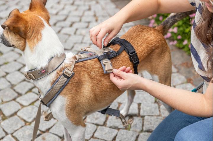 Produktbild Trixie Panik-Adapter Stay für Geschirre M-L (Hund, Allgemein)