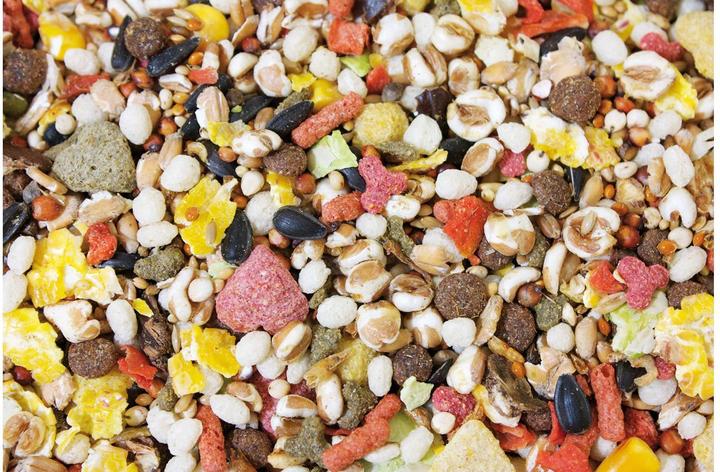 Immagine prodotto JR Farm Staple Food Basic Rat Feast 2,5 kg (2.50 kg, 1 x)