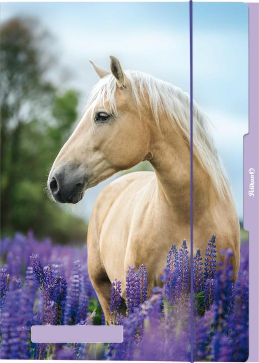 Actual product image Pelikan Assorted A3 animals folder (A3, 1 x)