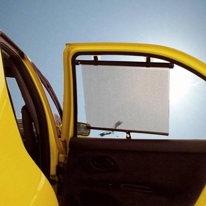 Immagine prodotto ProPlus Parasole Set di 2
