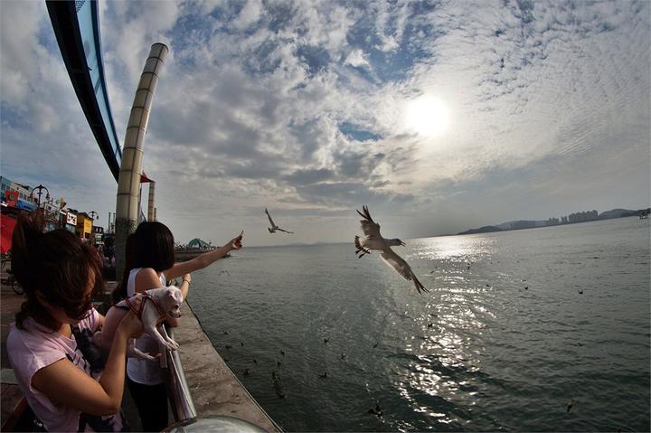 Produktbild Samyang 8mm f/2.8 II, Sony E (Sony E, APS-C / DX)
