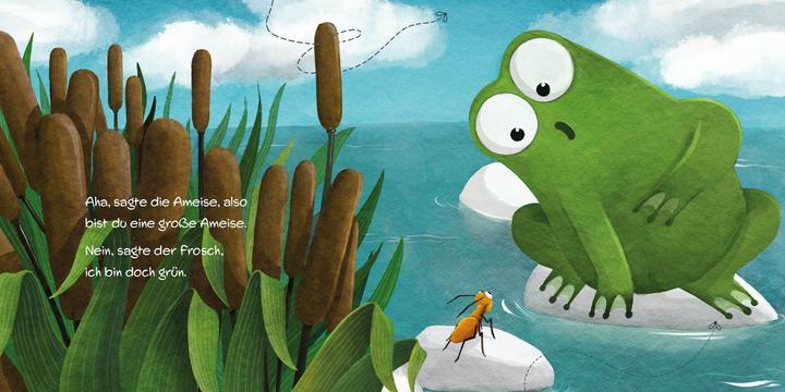 Actual product image Die Ameise und der Frosch (German)