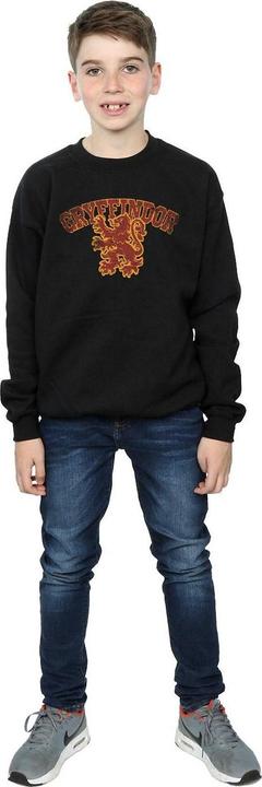 Image du produit - Sweat GRYFFINDOR SPORT EMBLEM - Garçon (152, 158)
