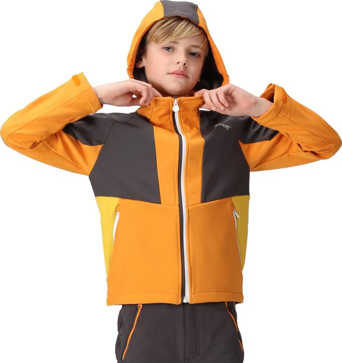 Produktbild Regatta Haydenbury Softshelljacke (128)