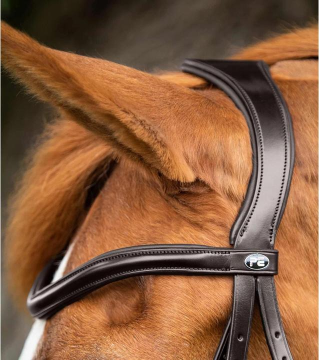 Produktbild Premier Equine trense reithalfter mit gekreuztem reithalfter glorioso