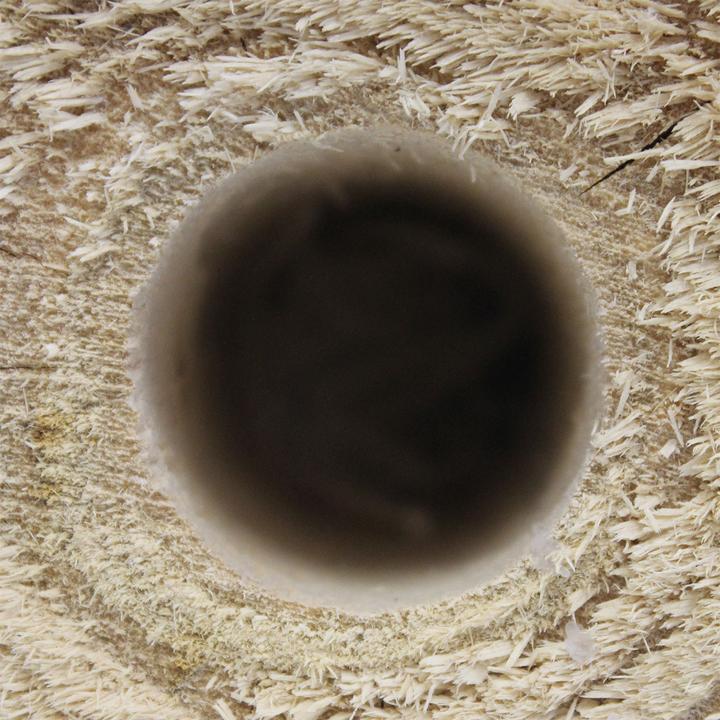 Image du produit Natura Punto Feu de Suède Torche en tronc d'arbre avec socle en béton
