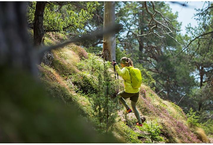 Produktbild Salewa Carbonium Alp Speed Poles (46 - 130 cm)