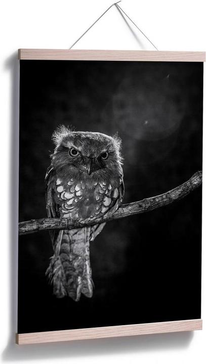 Image du produit Trenddeko Wilianto - Hibou furtif (80 x 120 cm)