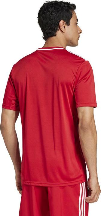 Actual product image adidas Campeon 25 jersey (XL)