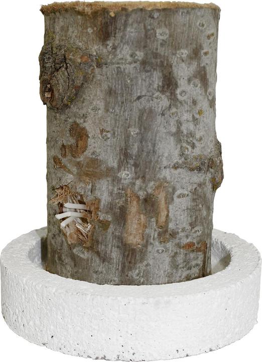 Image du produit Natura Punto Feu de Suède Torche en tronc d'arbre avec socle en béton
