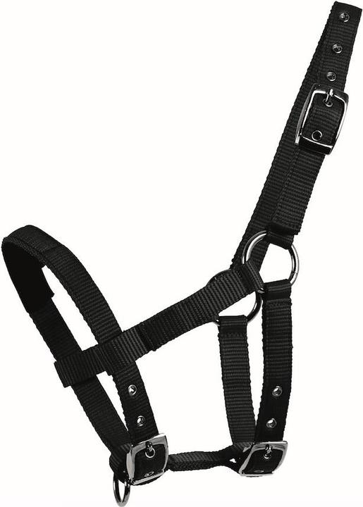 Produktbild Waldhausen Mini-Shetty Halfter