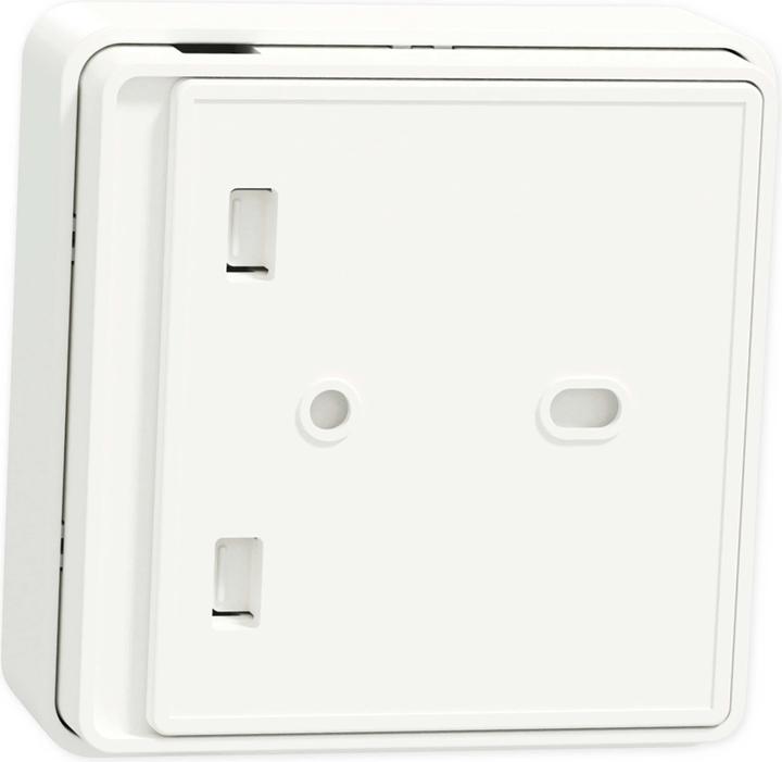 Actual product image Schneider Electric Wiser Temp/Air Sensor CCT593012