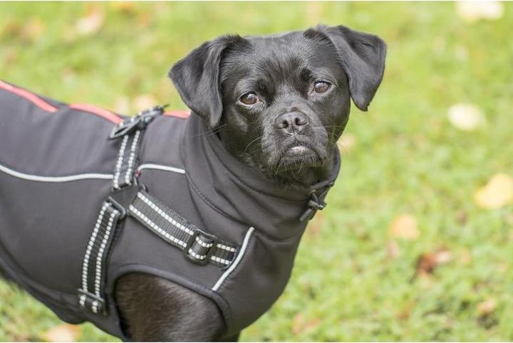 Produktbild Chiara Charlie (Hundemantel)