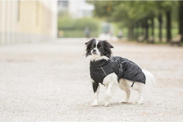 Actual product image Chiara nelson (XL, Dog coat)