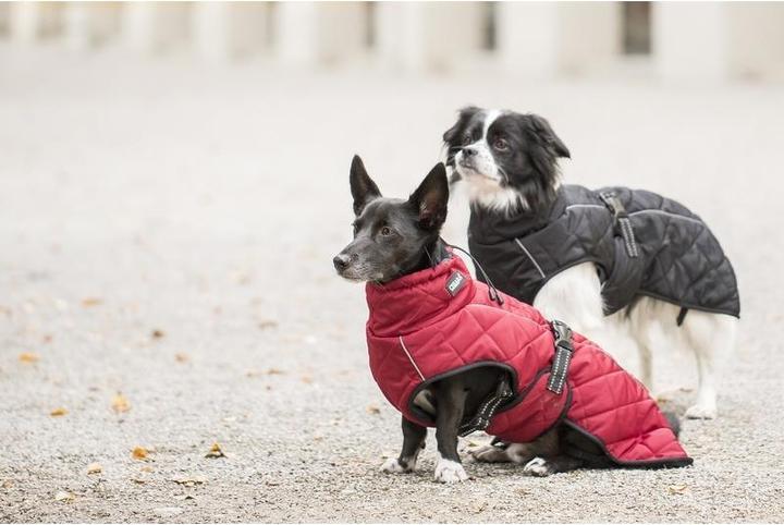 Actual product image Chiara nelson (XL, Dog coat)