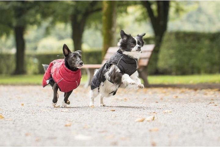 Actual product image Chiara nelson (XL, Dog coat)