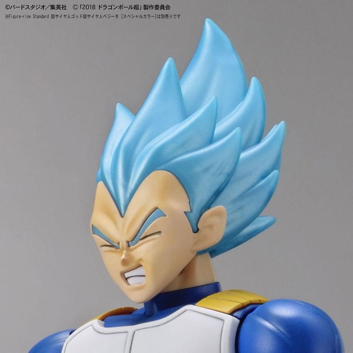 Actual product image Banpresto Model Kit Dragon Ball Funkoe Rise Super Saiyan Broly Fullpow