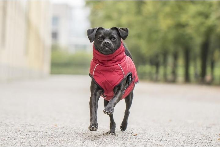Immagine prodotto Chiara nelson (XL, Cappotto per cani)