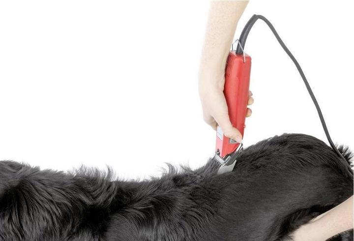 Produktbild Kerbl Schermaschine Favorita Speed 230 V (Hund)