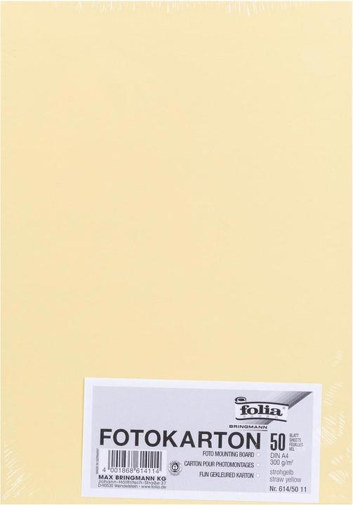 Image du produit Folia Carton photo couleur format A4 (300 g/m², 1 x)