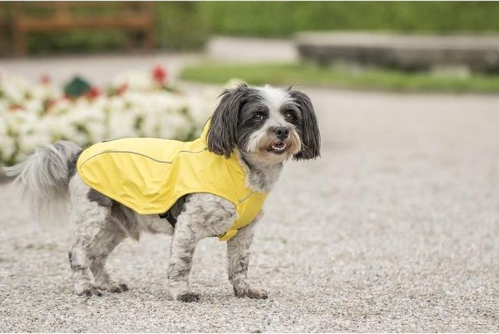 Image du produit Chiara Scotty (M, Manteau pour chien)