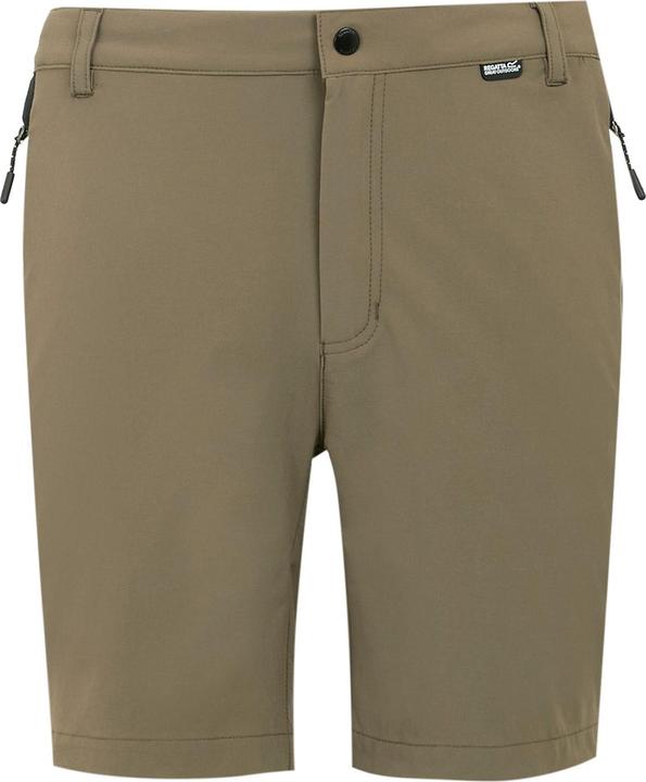 Actual product image Regatta Mens Mountain II Shorts (50 D)
