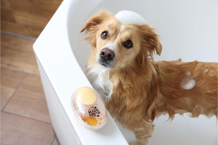 Produktbild Kerbl Badebürste (Hund, Katze)