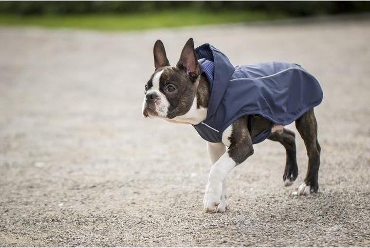 Produktbild Chiara Scotty (L, Hundemantel)