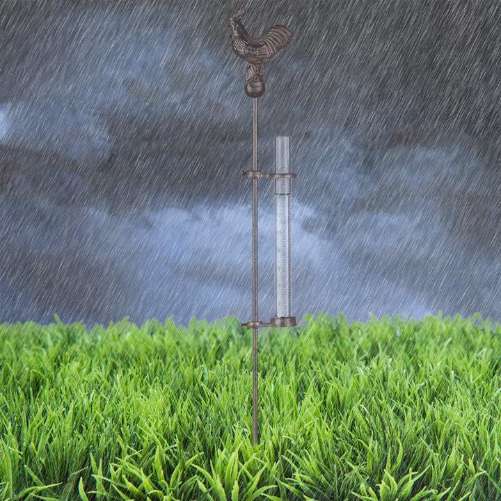 Actual product image Relaxdays Rain Gauge Cockerel