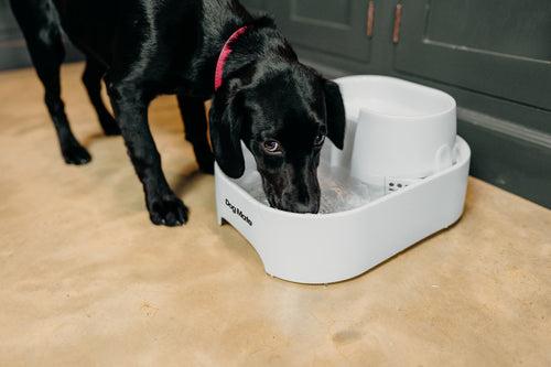 Productafbeelding Dog Mate DrinkfonteinLiter DrinkfonteinLiter (6 l)