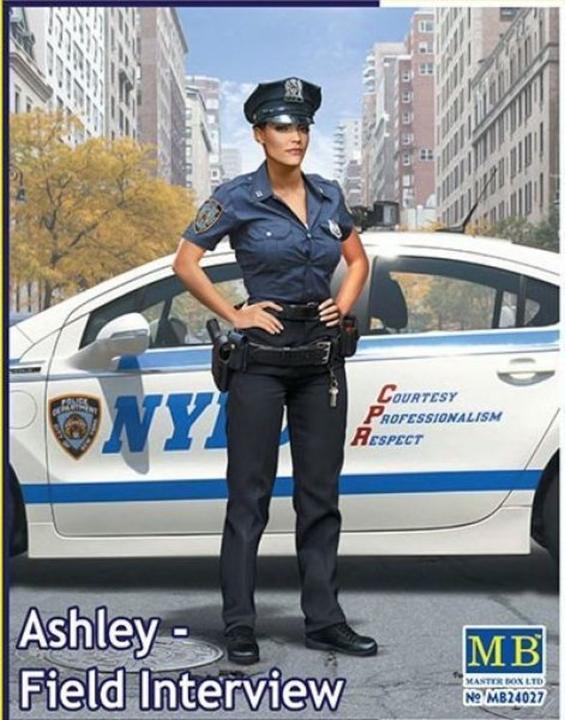 Image du produit Master Box Entretien avec Ashley-Field