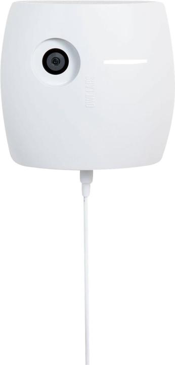 Actual product image OWL Whiteboard