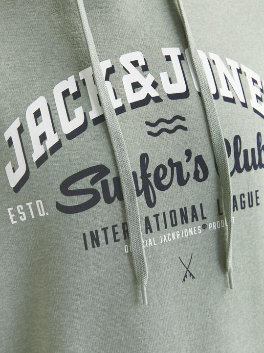 Produktbild Jack & Jones JJELOGO SWEAT HOOD 2 COL 24/25 NOOS (S)