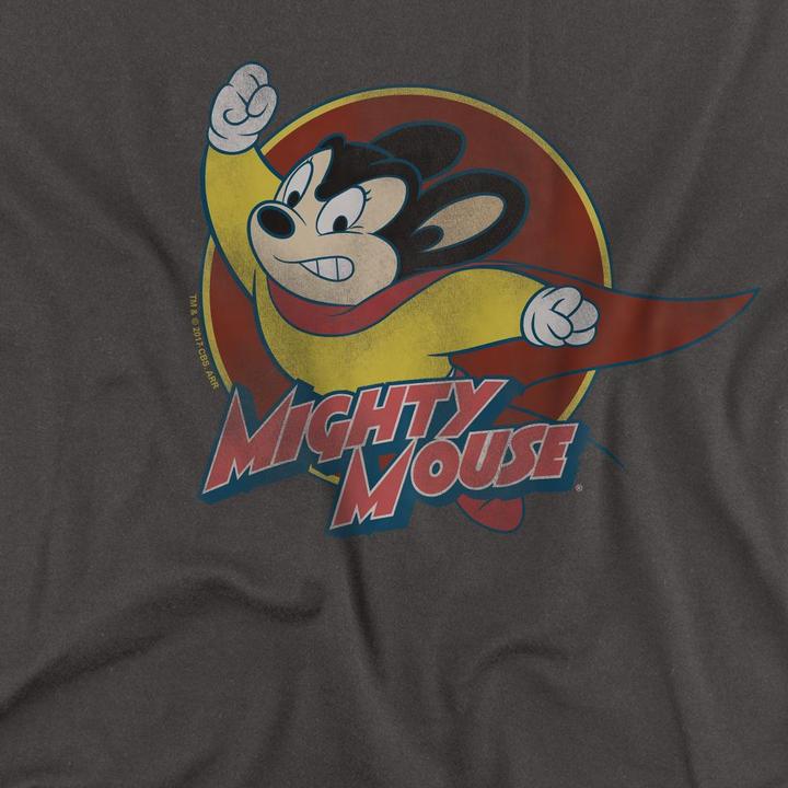 Actual product image Fruit of the Loom Unisex Adult Circle T-Shirt (S)
