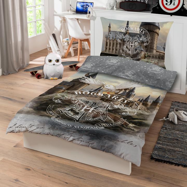 Image du produit SkyBrands Harry Potter Château de Poudlard