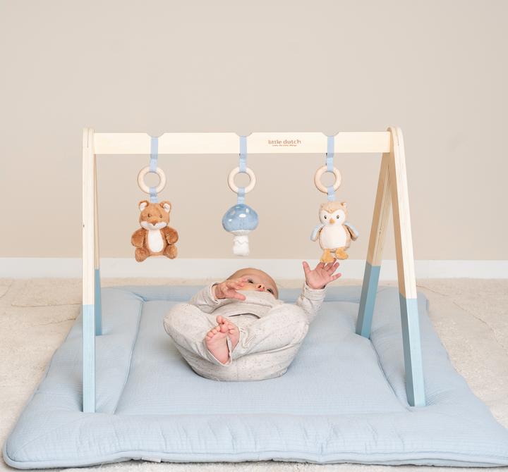 Image du produit Little Dutch Babygym Forest Friends
