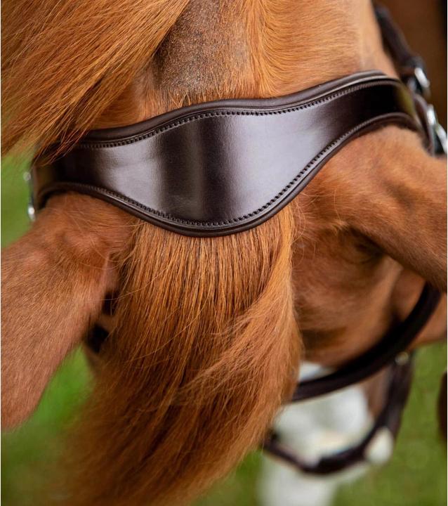 Produktbild Premier Equine trense reithalfter mit gekreuztem reithalfter glorioso