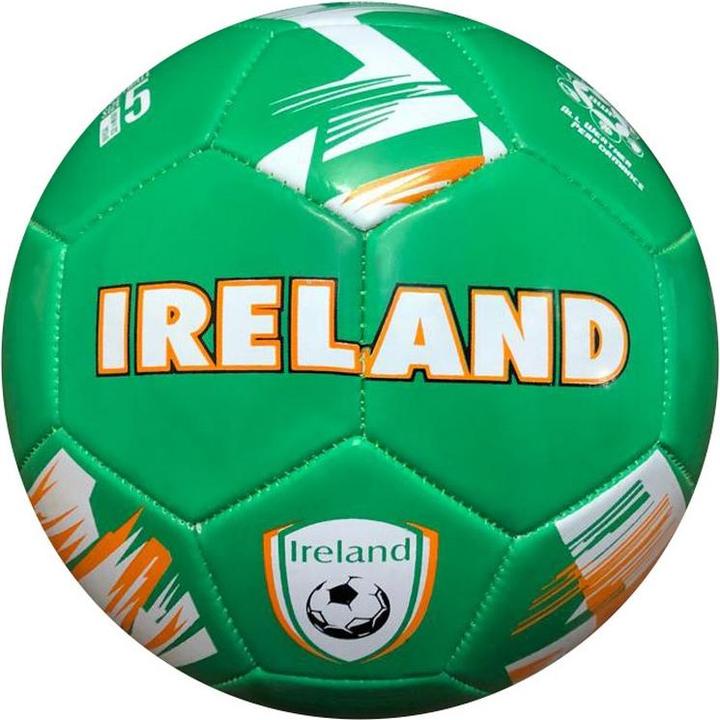 Northern Ireland Fa Fussball (5)