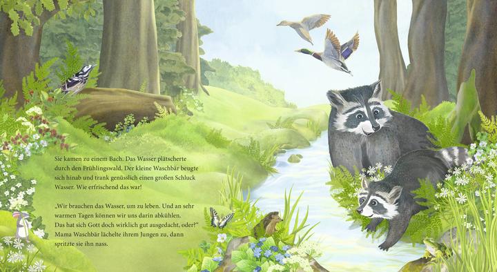Actual product image Der kleine Waschbär fragt nach Gott – ein Bilderbuch für Kinder ab 2 Jahren (German, Lea Kässmann, 2020)