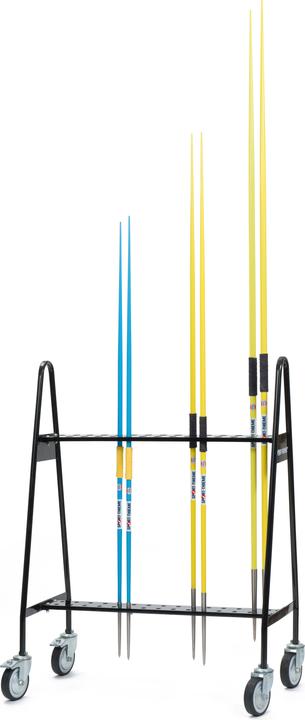 Actual product image Sport-Thieme Spear transport car "Super (14200 g)