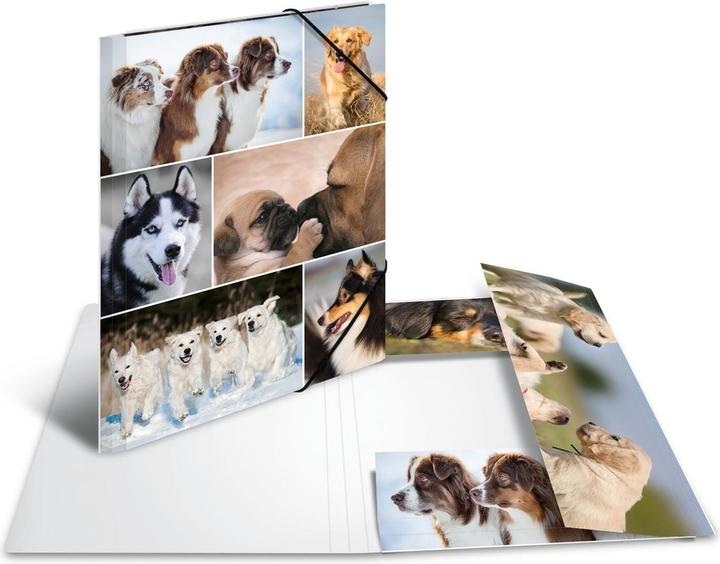 Actual product image HERMA A4 motif folder (A4, 1 x)