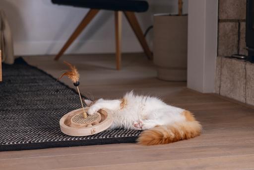 Actual product image Designed by Lotte Winni (Catmint toy)