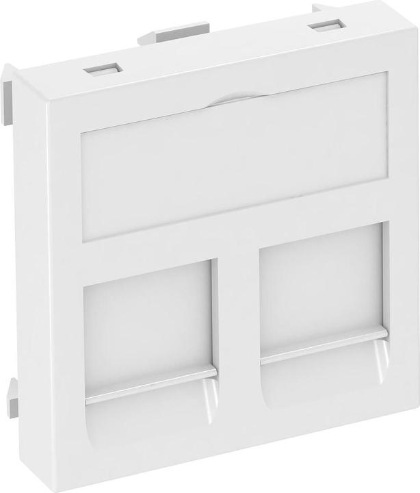 OBO Bettermann Supporto tecnologico per 2 moduli di connessione 6119202