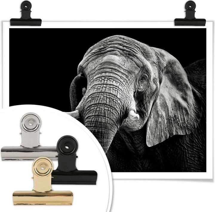 Image du produit Trenddeko L'éléphant (50 x 40 cm)
