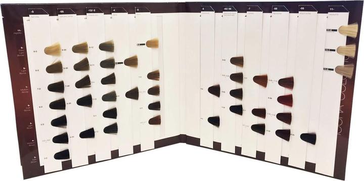 Actual product image Schwarzkopf Color10 color chart