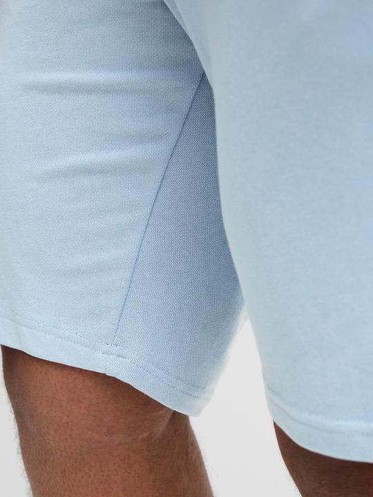 Produktbild Jack & Jones Plus Size Regular Fit Regular Fit Shorts Regular Fit Shorts (44)
