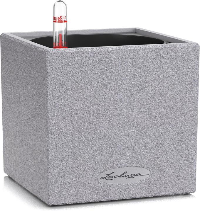 Image du produit Lechuza Canto Stone 14 (14 cm)